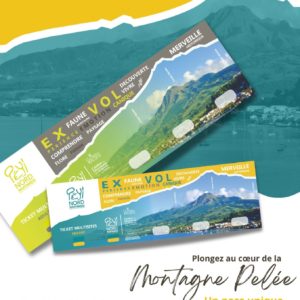 Ticket Multisite Expérience Volcanique