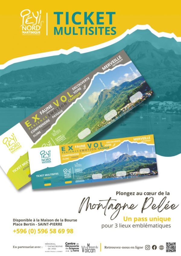 Ticket Multisite Expérience Volcanique