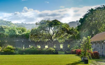 Le Domaine de Fonds Saint-Jacques, un voyage à travers l’histoire avec Muriel Monthieux  