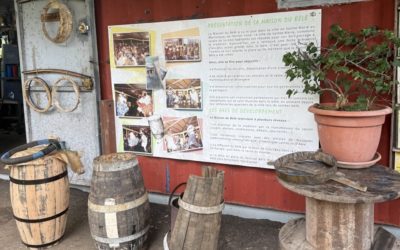 Maison du Bèlè : un détour qui donne du sens  